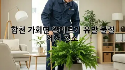 합천 가회면 알레르기 유발 물질 제거 청소