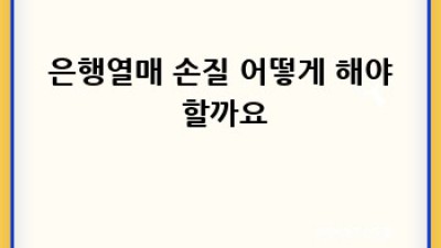 은행열매 가격과 효능 완벽 가이드