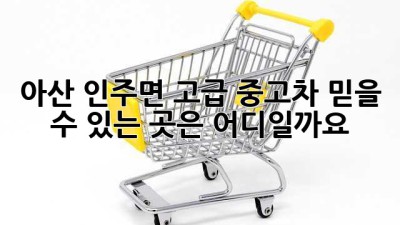 아산 인주면 고급 중고차, 믿을 수 있는 곳은 어디일까요?